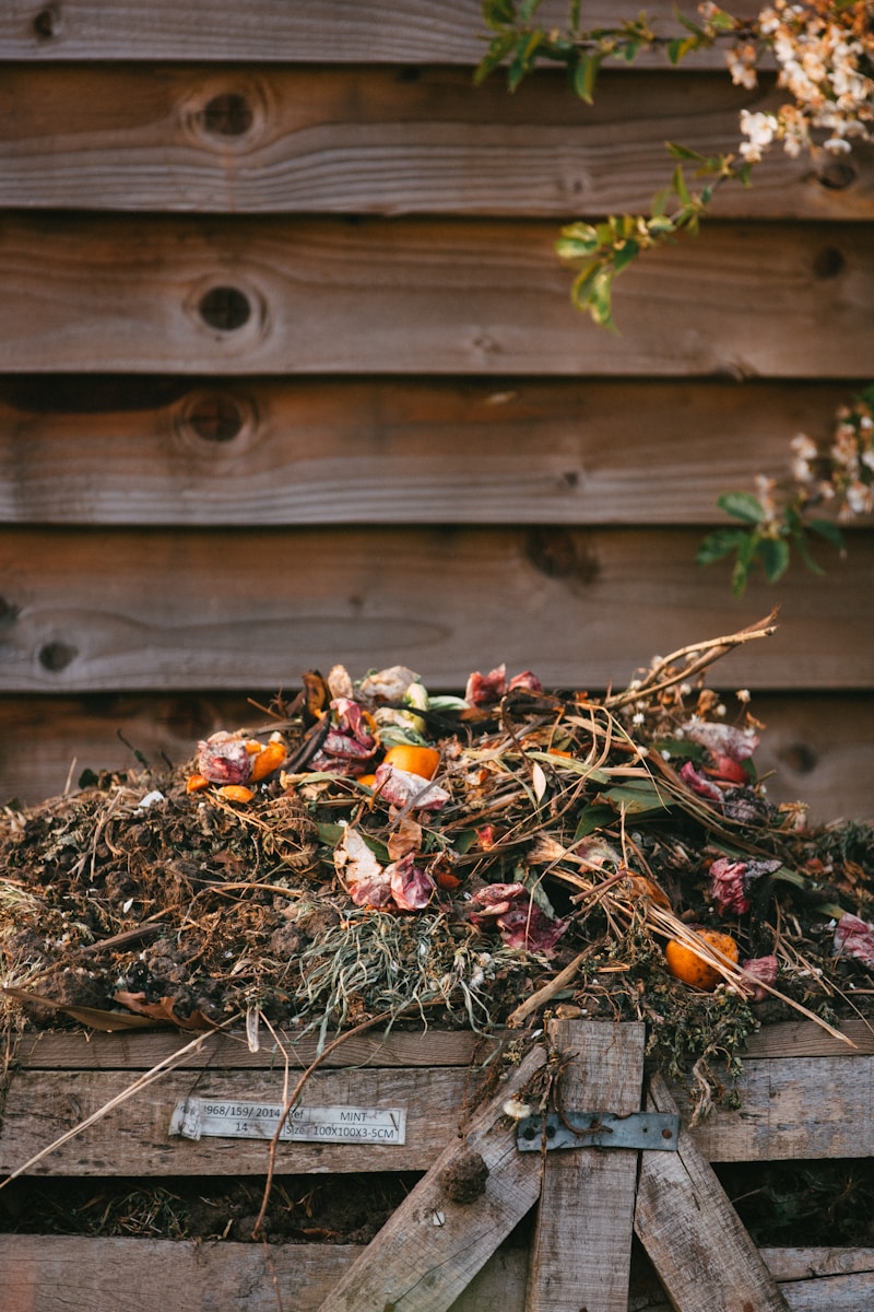 comment faire du lombricompost à la maison avec vos enfants